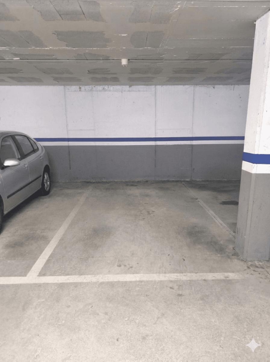 Parking — Zona Sol i Padrís - Sabadell parking spot